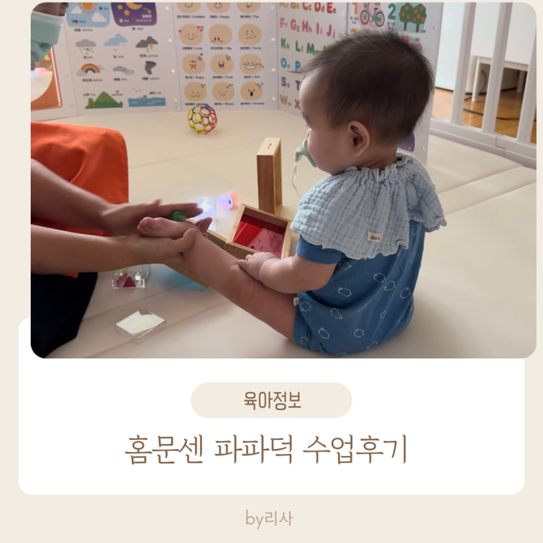 율이파파 이미지