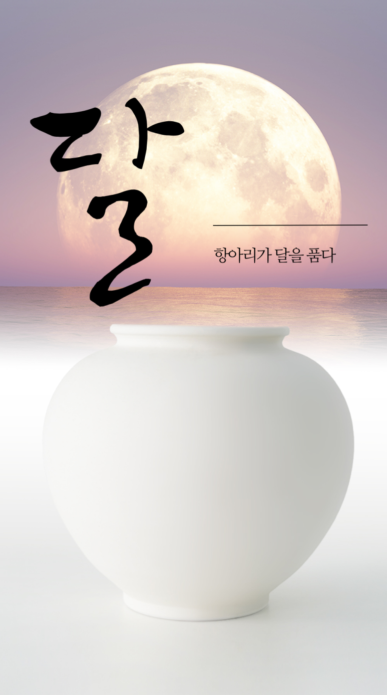 항아리돈 이미지