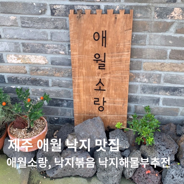 소랑애월 이미지