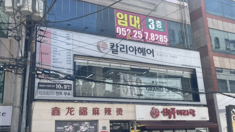헤어칼리아 이미지