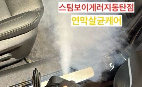 스팀보이게러지 이미지