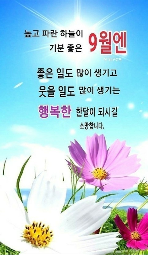 책속의행복 이미지