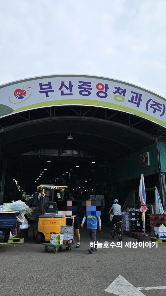 하늘청과 이미지