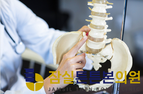 잠실튼튼본의원 이미지