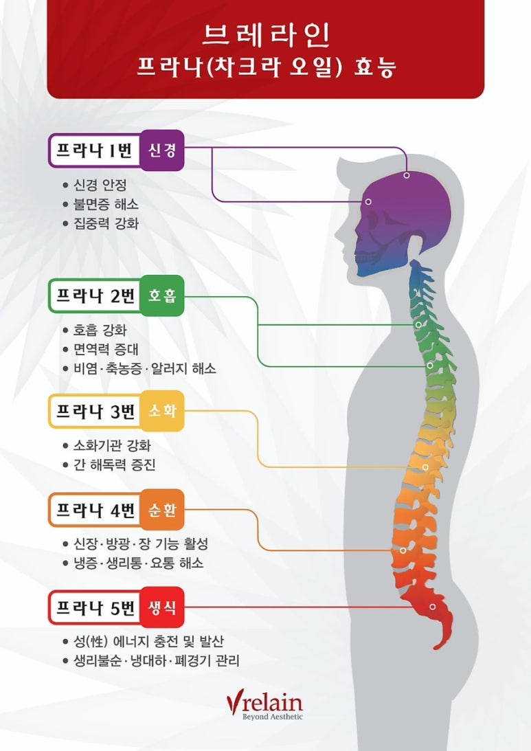 프라나 이미지