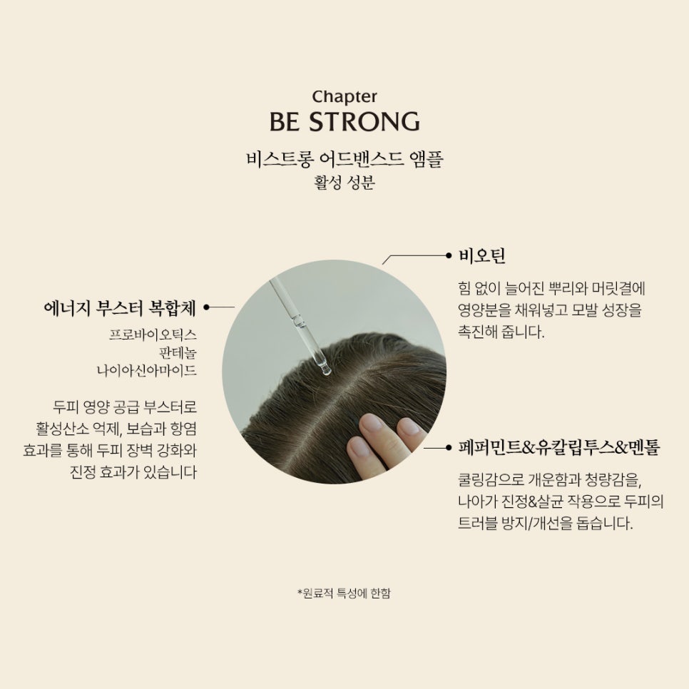 비블리 이미지