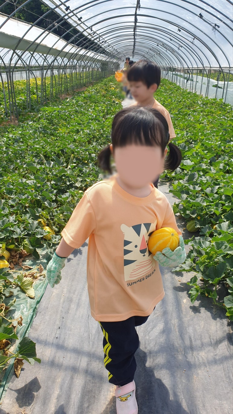 꼬마숲 둥지어린이집 이미지