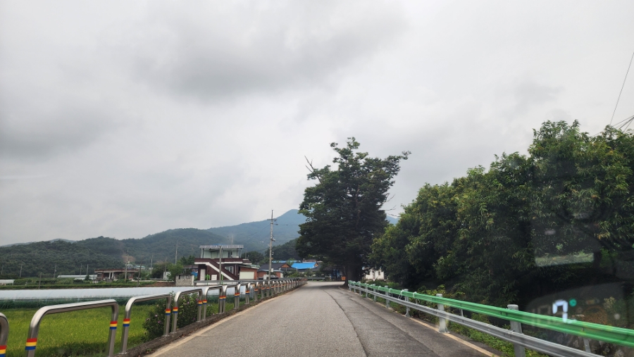 정여사식당 이미지