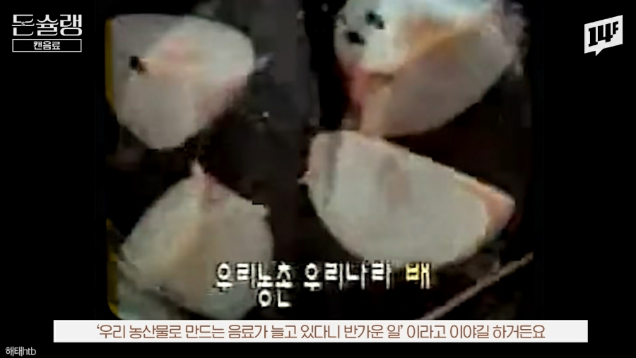 카피나라 이미지