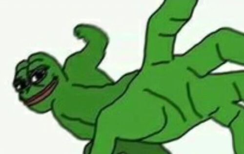팀엘리트 이미지