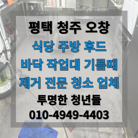 투명한청년들 이미지
