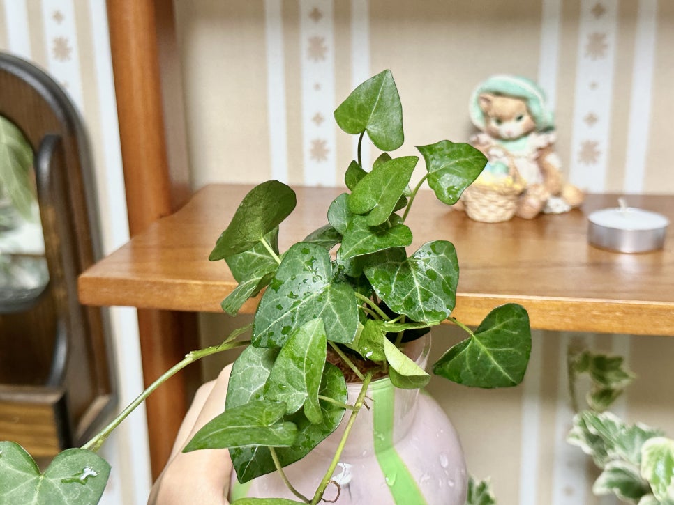 아이비환경(주) 이미지