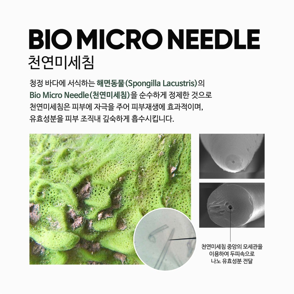 스칼프디자인센터 이미지