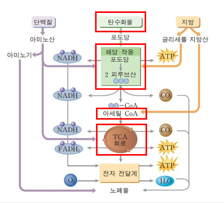 핏온짐 이미지