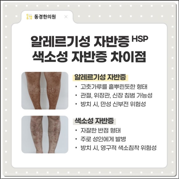 서울솔루션 이미지