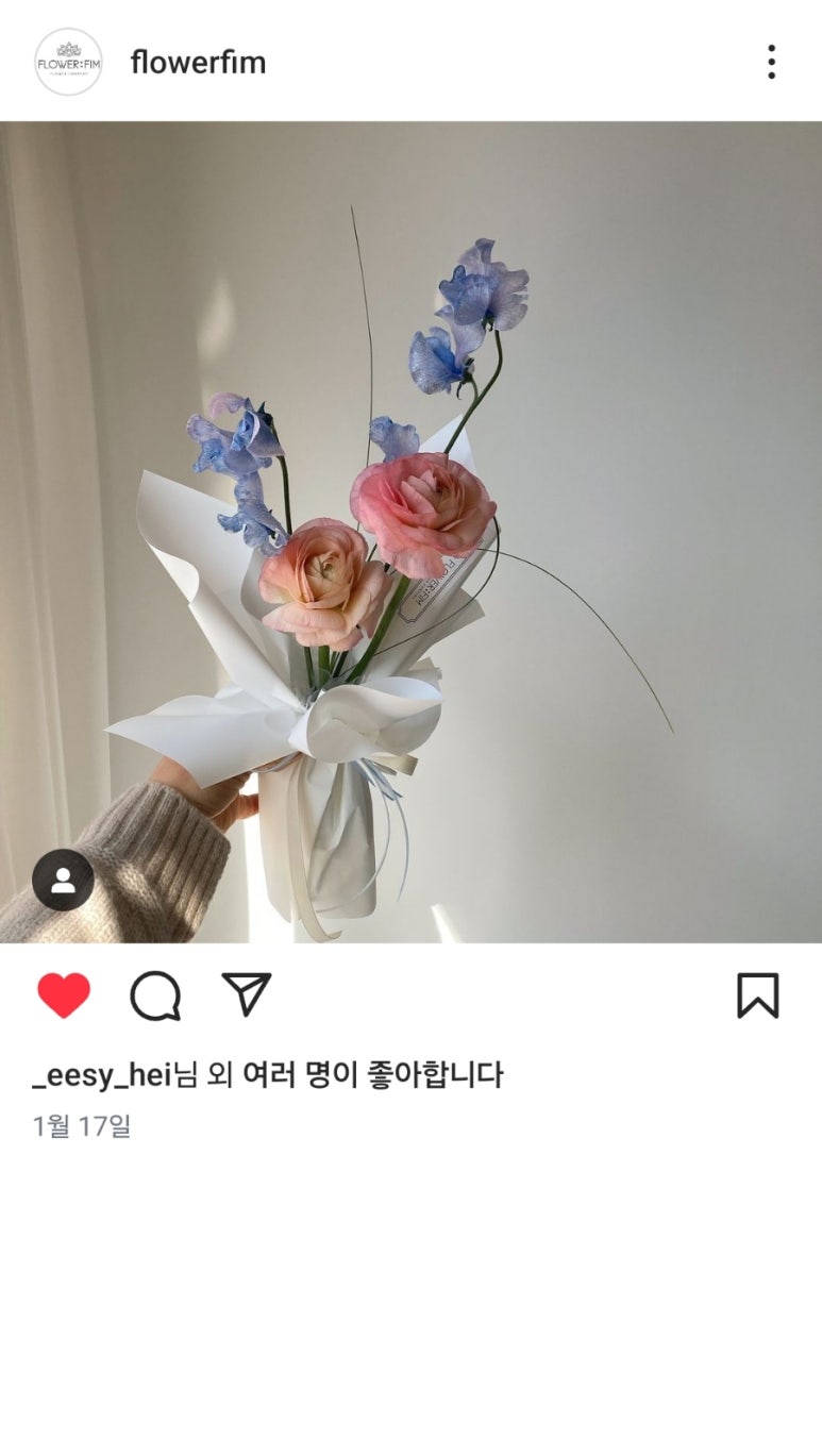 오버트플라워 이미지