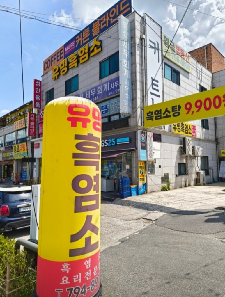 황산흑염소 이미지