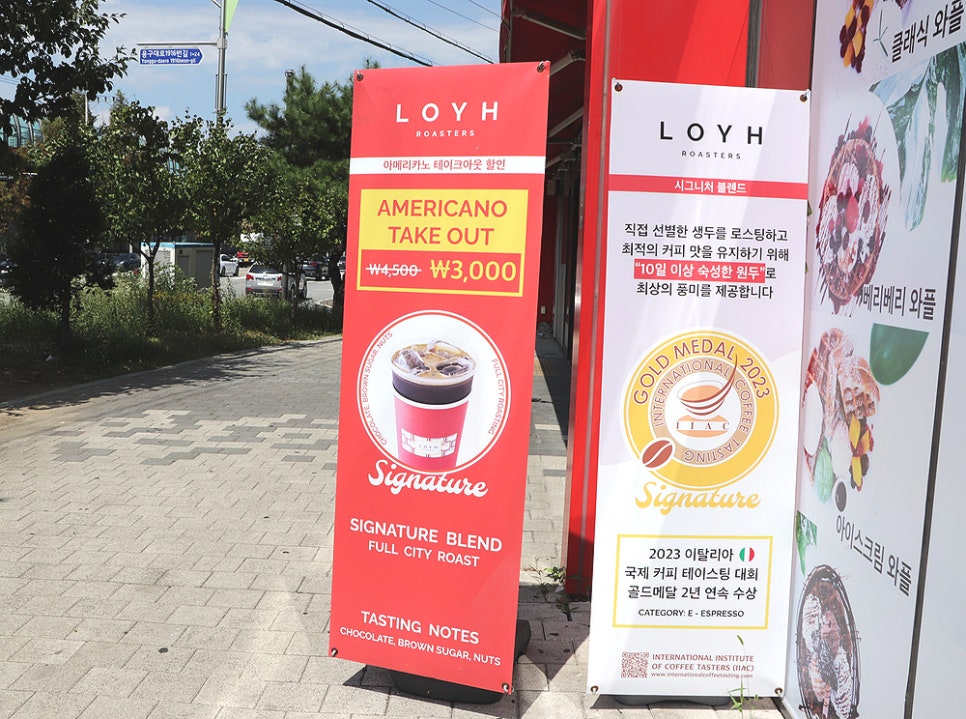 로이로스터스보라 이미지
