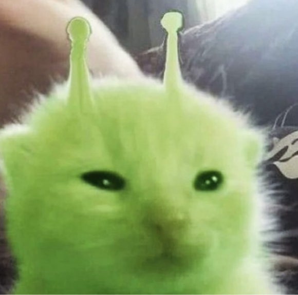 목포아구탕 이미지