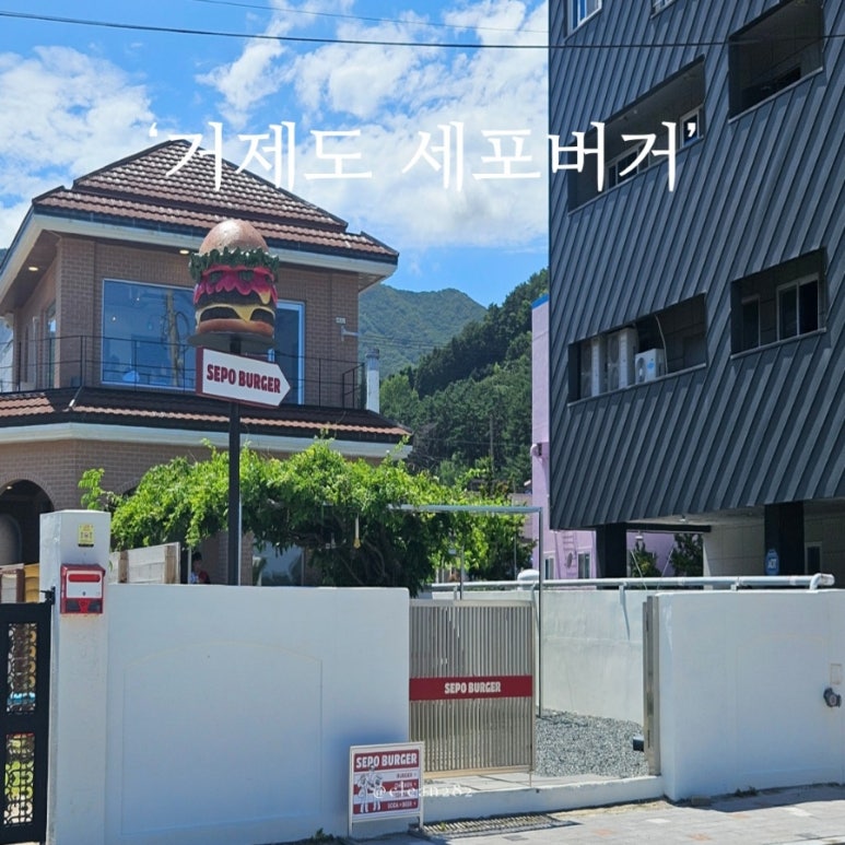 세포버거 이미지