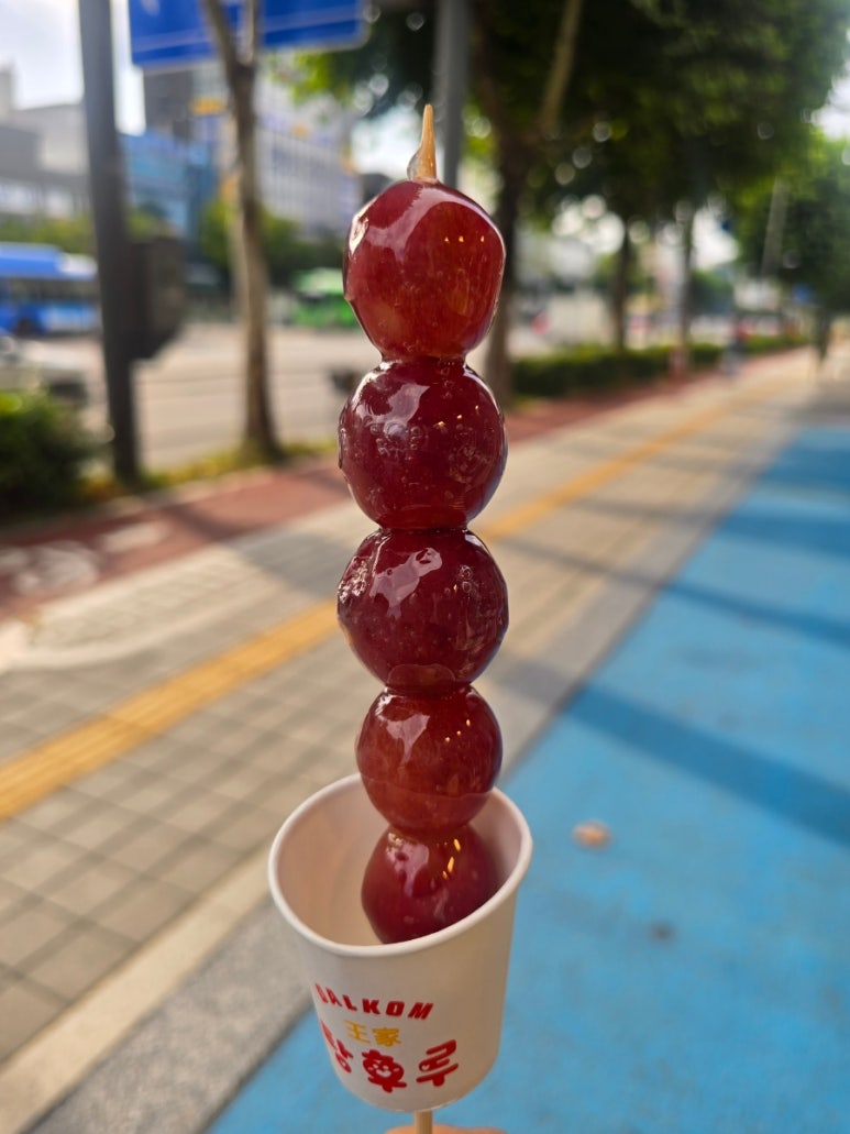 달콤왕가탕후루송파역점 이미지