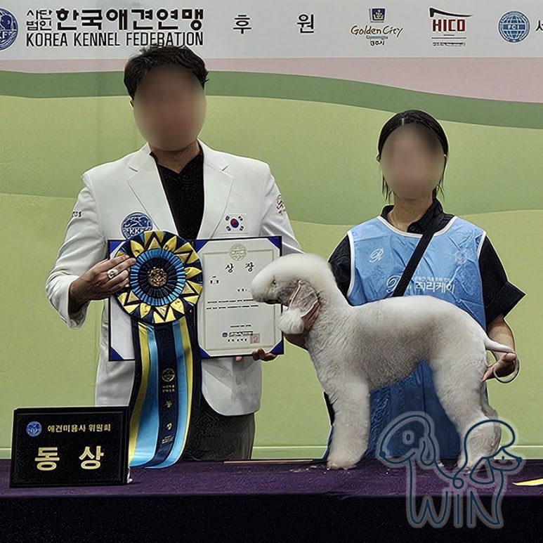 윈애견미용학원 이미지