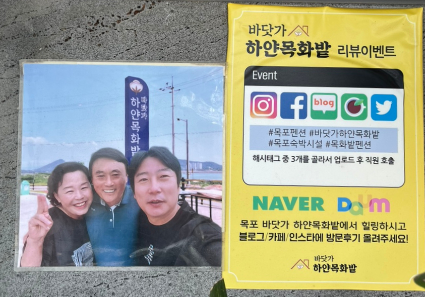 바닷가하얀목화밭 이미지