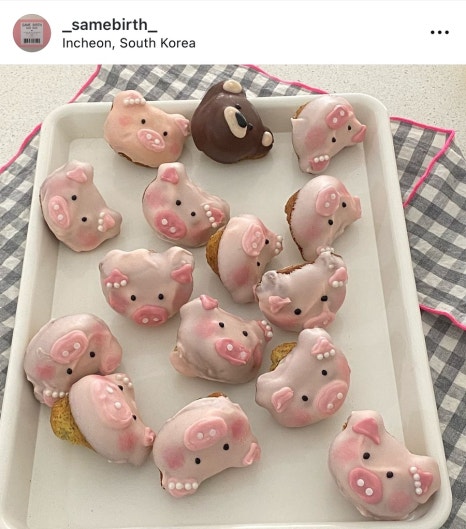 세임벌스 이미지