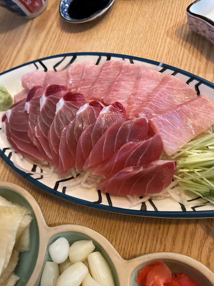 요이참치 이미지