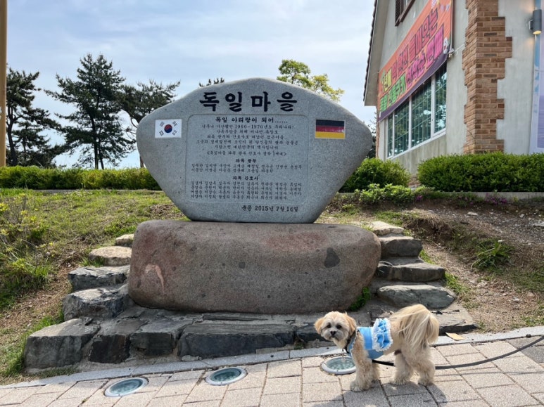 노이하우스 이미지