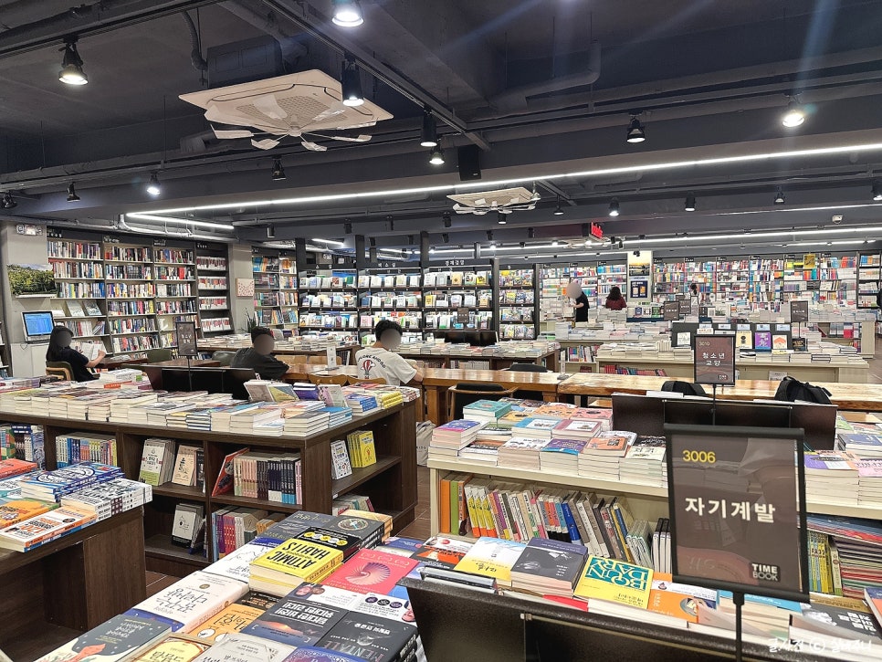 둔산세이북스 이미지