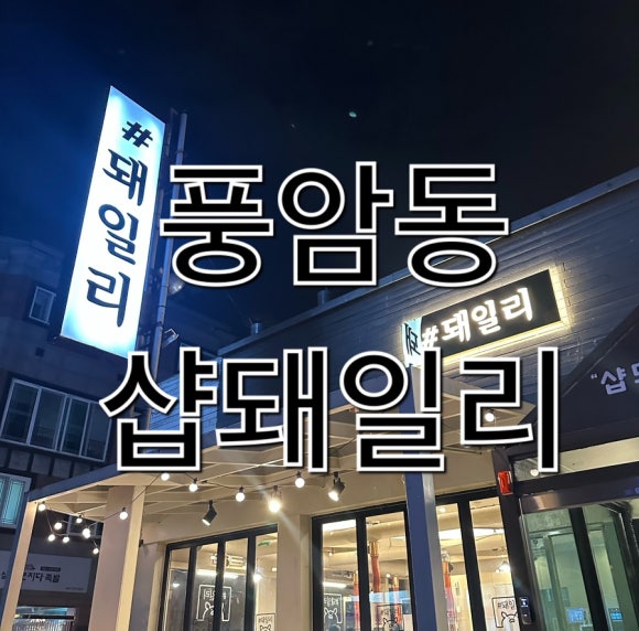샵돼일리 이미지