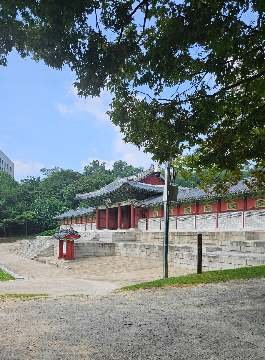 세무법인넥스트 이미지