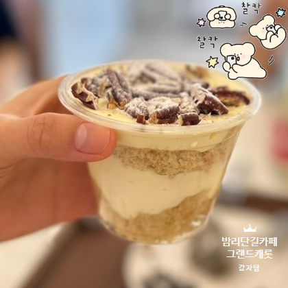 그랜드캐롯 이미지