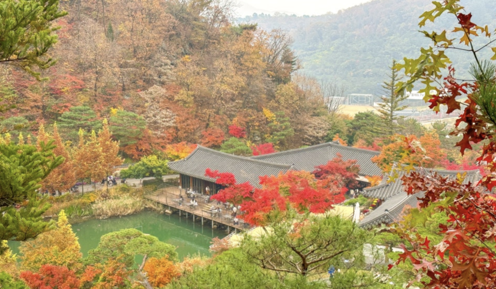 숲속분재원 이미지