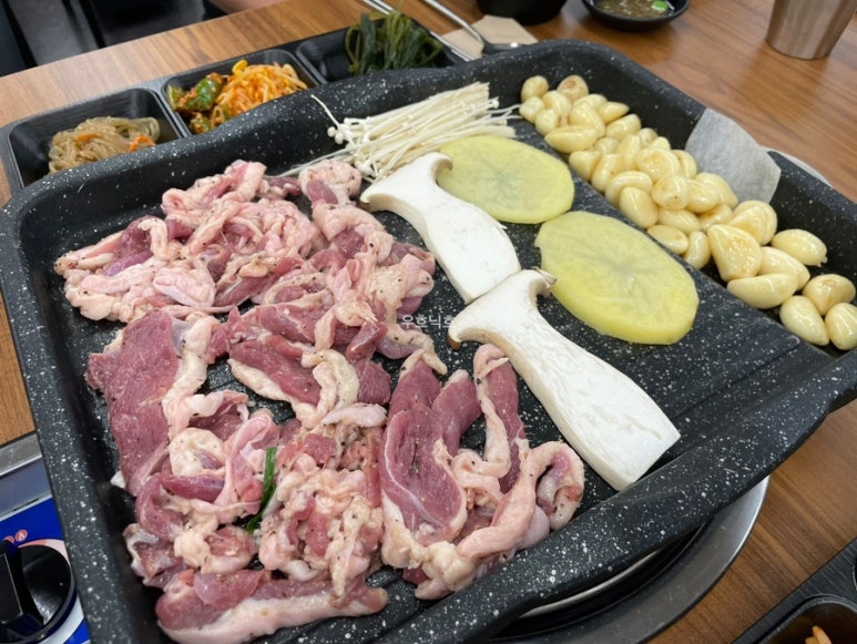 백년오리 이미지