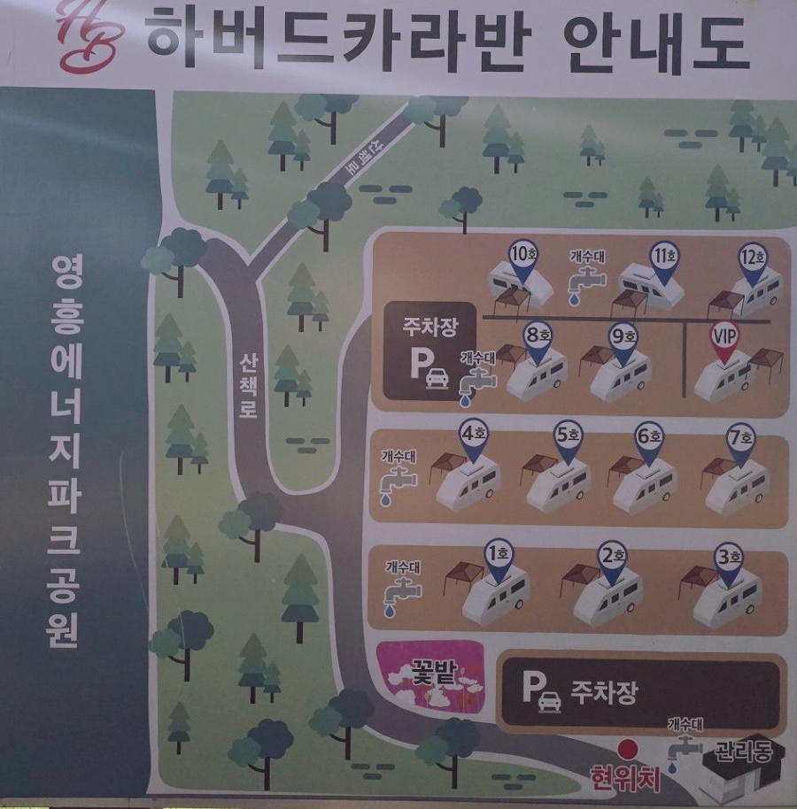 하버드카라반 이미지