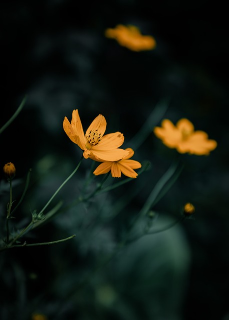 동연디자인 이미지
