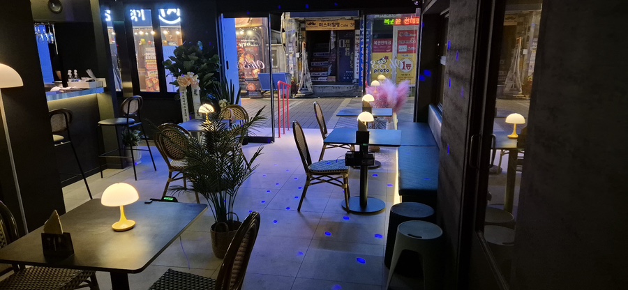오샴샴 이미지