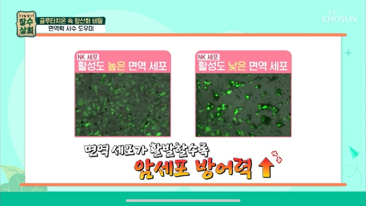 세포상회 이미지