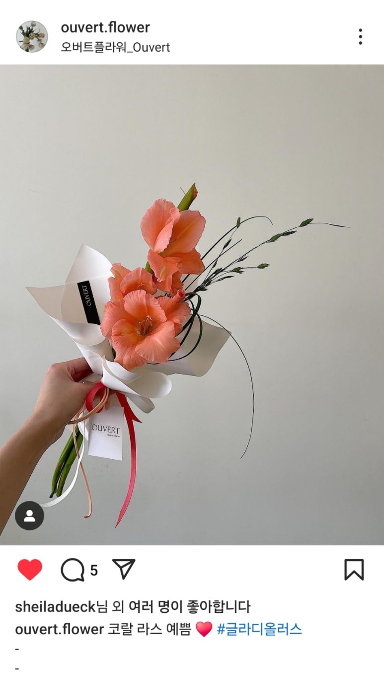 오버트플라워 이미지