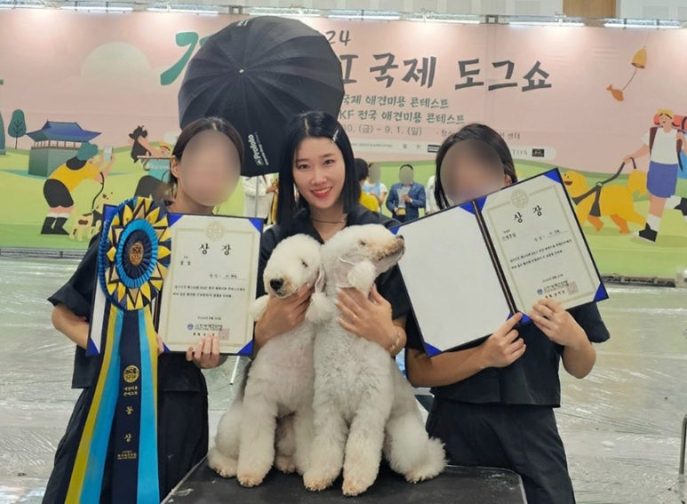 윈애견미용학원 이미지