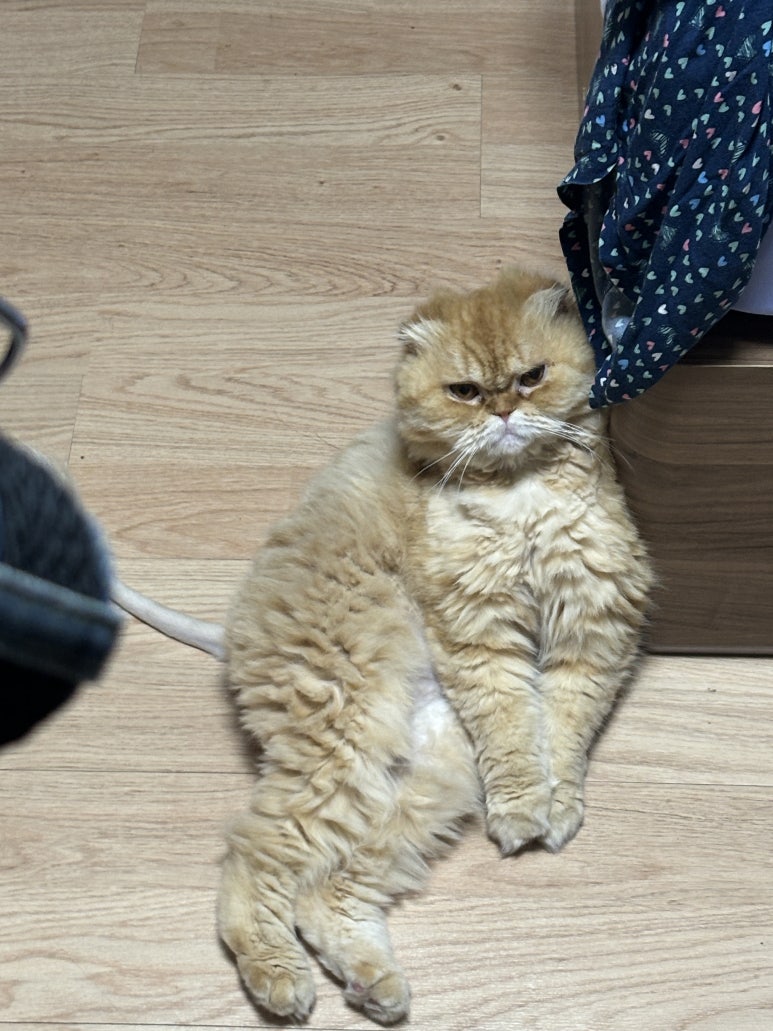 주원청과 이미지