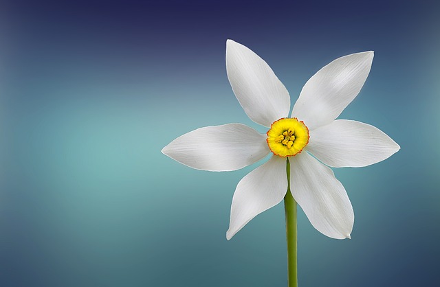 서문상회 이미지