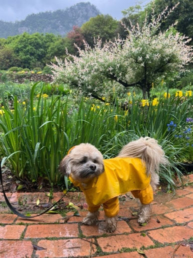 카페이정원 이미지