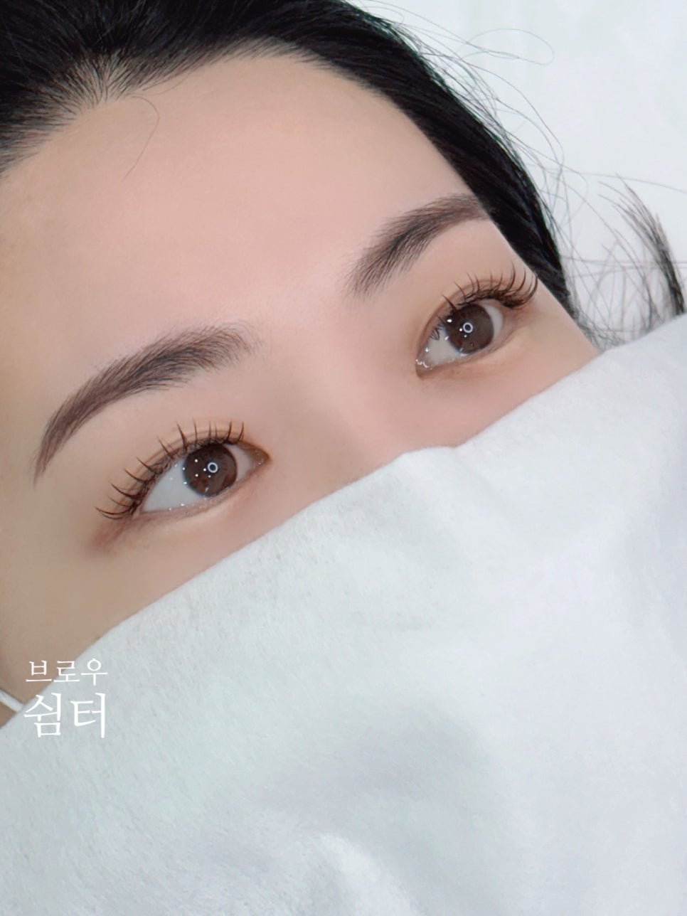 브로우쉼터 이미지