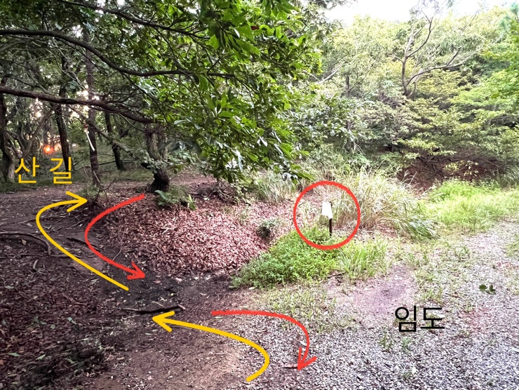 임도 중간 조망터 이미지