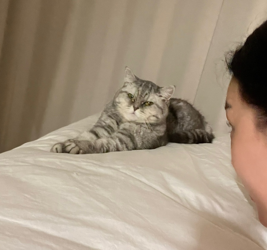 리위뷰티룸 이미지