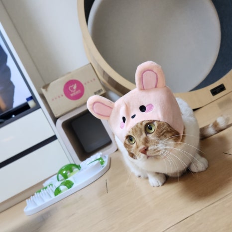 다이소안성계동점 이미지