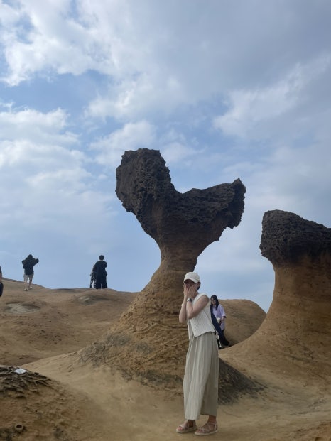 고마또래 이미지